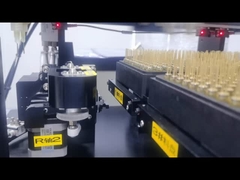 پخش اتوماتیک